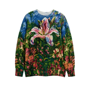 Desigual彩色花卉印花满印宽松长袖女士针织衫毛衣