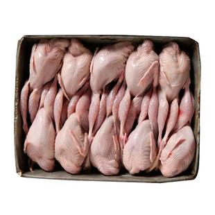 新鲜大母鹌鹑肉冷冻鹌鹑白条现杀活体炖汤红烧油炸烧烤生骨肉10只