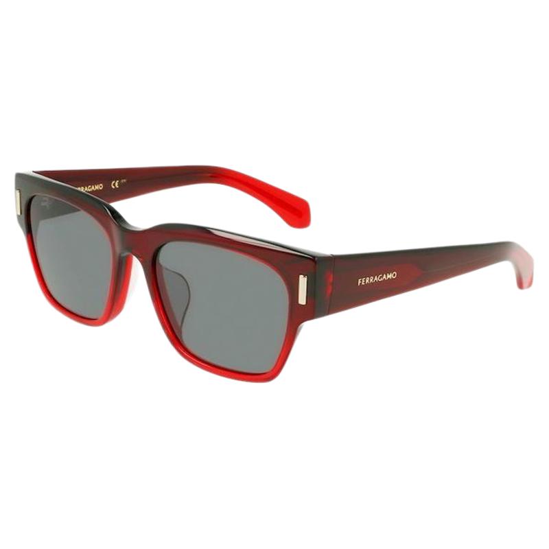 【自营】FERRAGAMO/菲拉格慕时尚简约古典户外太阳眼镜SF2020SLB