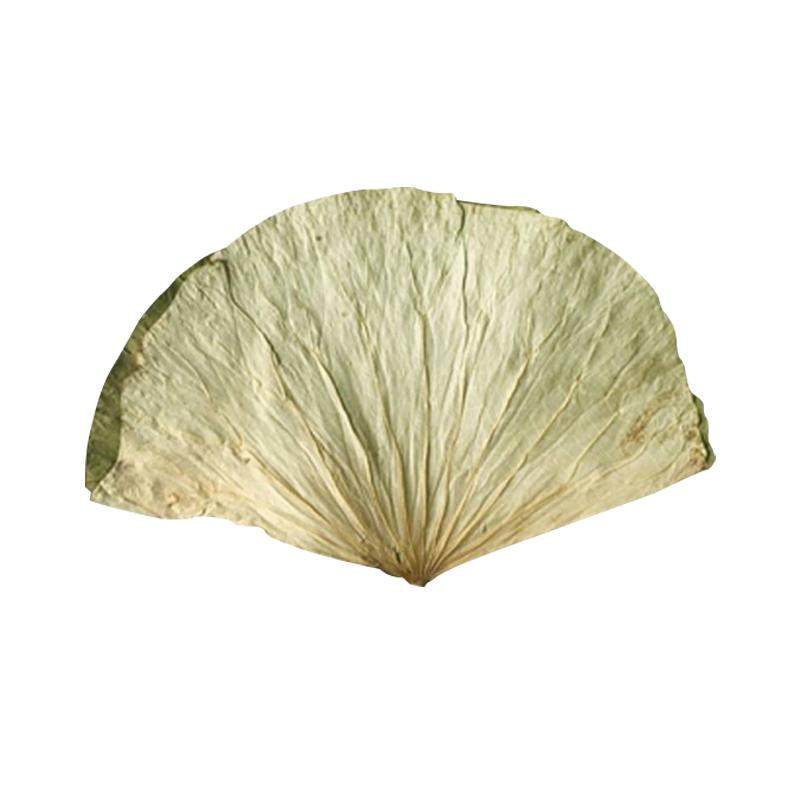 新整张干荷叶500g叫花鸡黄泥荷叶鸡糯米鸡用荷叶粥干荷叶家用荷叶