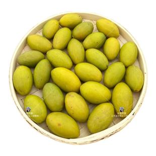 乡里阿蓉【凌峰橄榄】潮汕特产龙丰橄榄清甜青橄榄酥脆回甘清甜