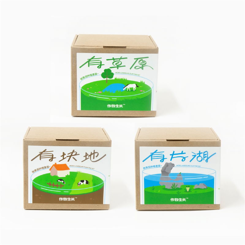 作物生长种植微景观桌面植物摆件