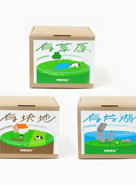 作物生长种植微景观桌面植物摆件
