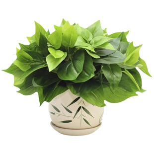 仿真绿萝套装室内仿生绿植造景客厅装饰办公室桌面小盆栽植物摆设