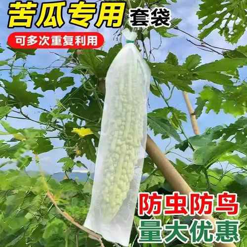无纺布苦瓜套袋黄瓜丝瓜专用透气防虫防鸟果袋水果蔬菜防针蜂套袋