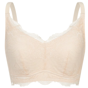 古今内衣小胸聚拢无钢圈收副乳显大固定杯蕾丝文胸罩GDB05513