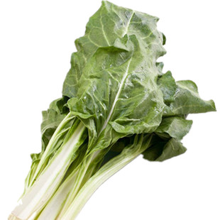 四川厚皮菜牛皮菜新鲜瓢儿菜厚合菜莙达菜根达菜甜菜特产时令蔬菜