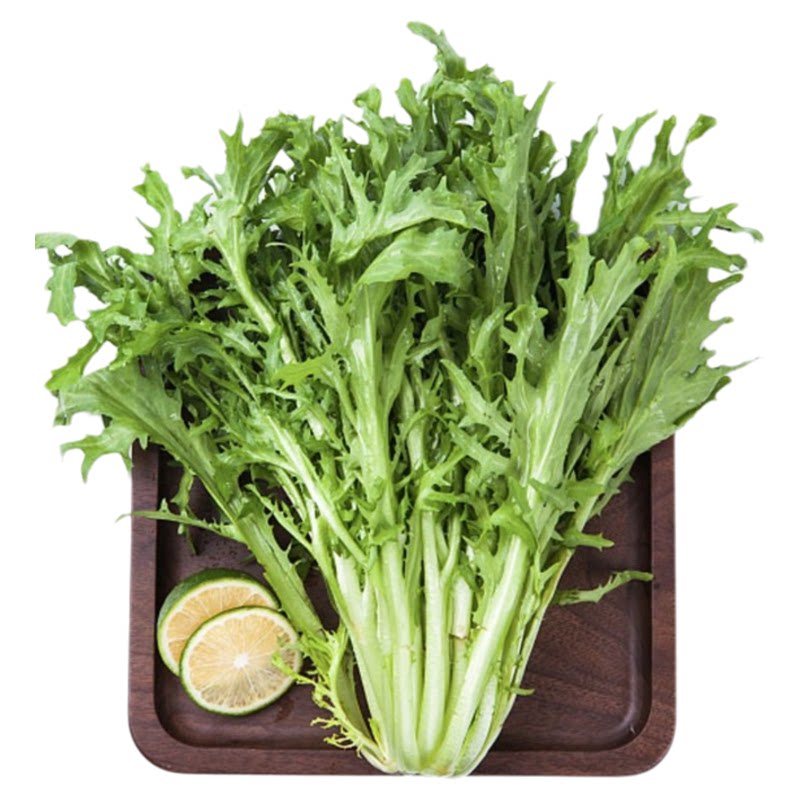 【千牛优福】苦叶生菜1-5斤新鲜蔬菜苦菊苦细叶沙拉食狗牙菜苦苣