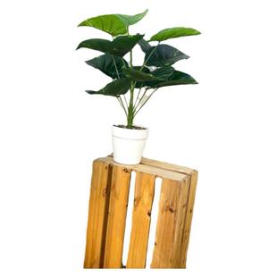 仿真花天堂鸟仿真绿植客厅奶油风民宿玄关装饰会议室露营酒店装饰