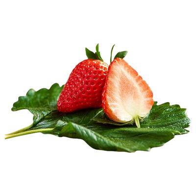 初遇季丹东草莓至尊精品果