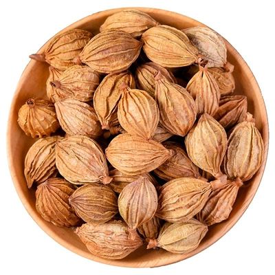 正宗云南香砂仁提味增香新货