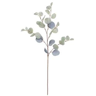 泰环 北欧ins秋色圆叶尤加利仿真花干花假植物摆件客厅餐桌装饰品