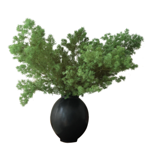 绿色蓬莱松永生花干花花束高级真花家居摆设插花酒店造景装饰摆件