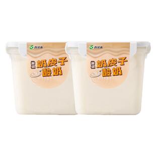 新疆西域春奶皮子酸奶1kg*2桶水果捞老酸奶大桶装酸奶