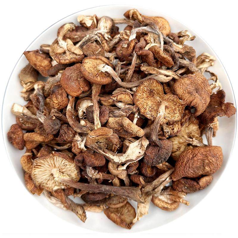 榛蘑东北野生蘑菇干货山珍土特产煲汤菌菇小鸡炖蘑菇用的榛蘑500g