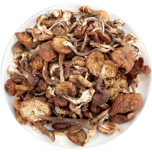 榛蘑东北野生蘑菇干货山珍土特产煲汤菌菇小鸡炖蘑菇用的榛蘑500g