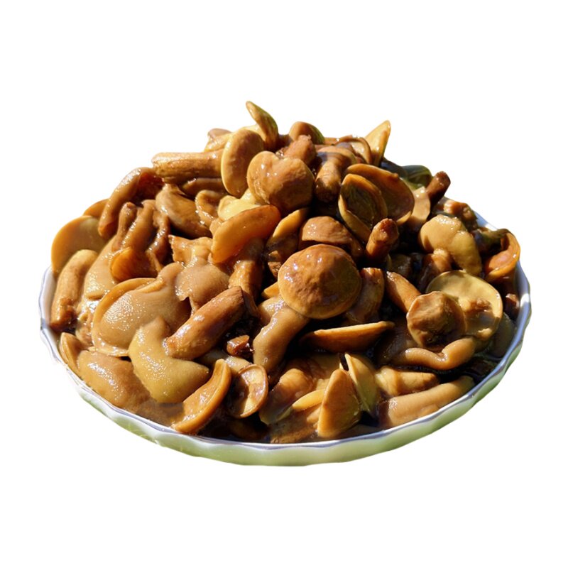 东北野生鲜松蘑粘团子蘑菇鲜牛肝菌松蛾子焯水加盐腌制咸蘑菇特产
