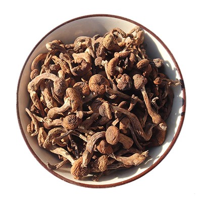 东北野生榛蘑干货无根蘑菇