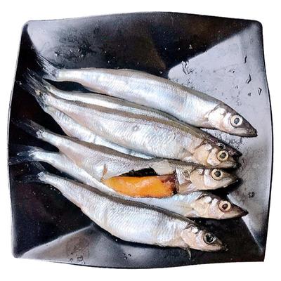 多春鱼新鲜满籽，顺丰配送