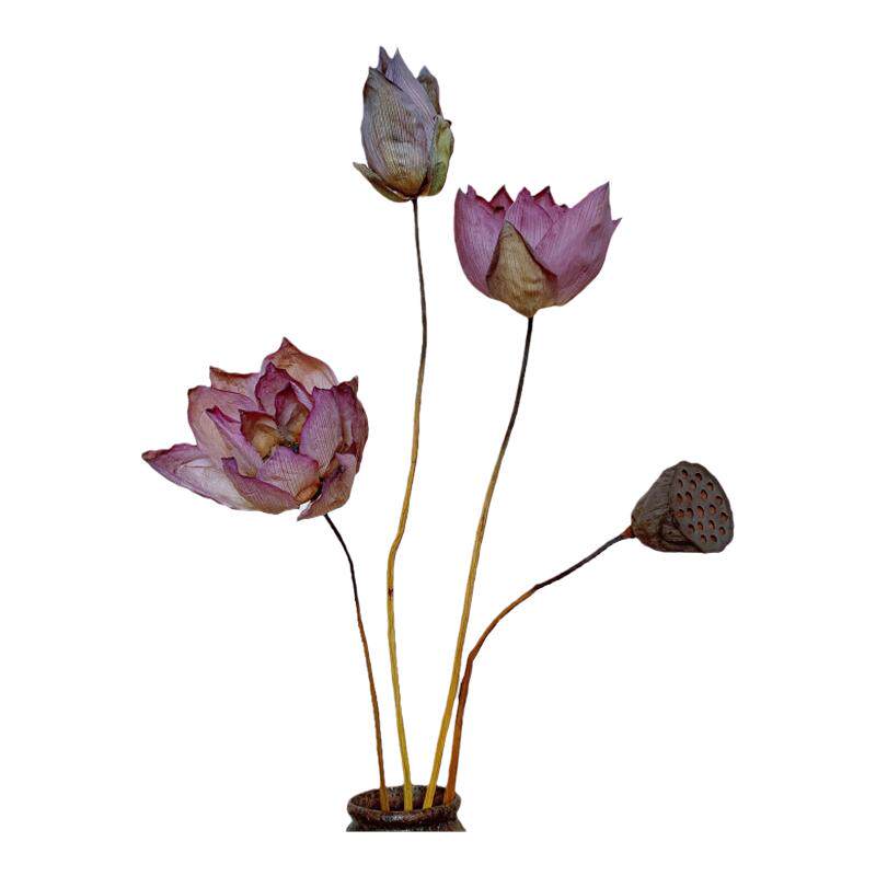 天然风干真花荷花永生花原杆莲蓬复古禅意插花客厅家居装饰摆件