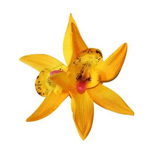 海边橘黄色花朵发夹女氛围感花朵头饰度假风侧边夹子发卡发饰头花