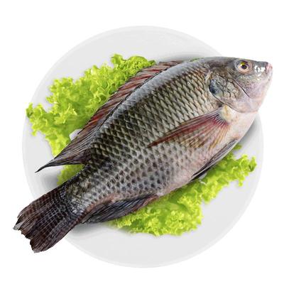 国联水产三去罗非鱼700g*3袋