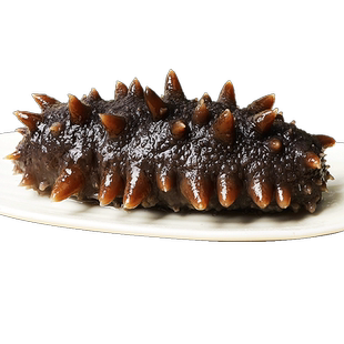 即食海参刺参辽宁鲜活干货海生叁旗舰店单只装袋子淡干