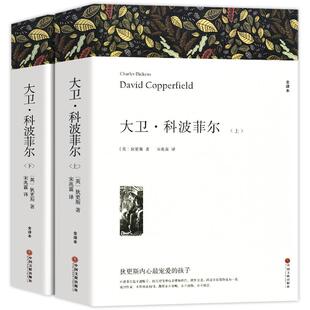 全2册 大卫科波菲尔 原著无删减正版完整版宋兆霖翻译 高中阅读课外阅读书籍全套 高中生高一语文课外书世界名著书目