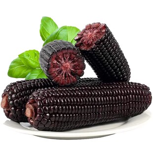 10支黑玉米新鲜糯玉米2025年新玉米真空包装黑糯玉米甜粘粗粮苞米