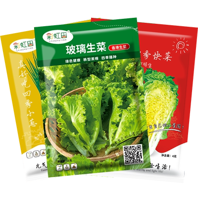 蔬菜种子大全阳台盆栽庭院