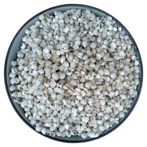 正宗福建仙游金沙薏米仁新货药用薏仁米500g薏苡仁农家新鲜小薏米