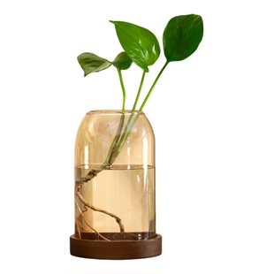 复古玻璃花瓶水培器皿花盆水养植物白掌红掌绿萝餐桌透明插花摆件