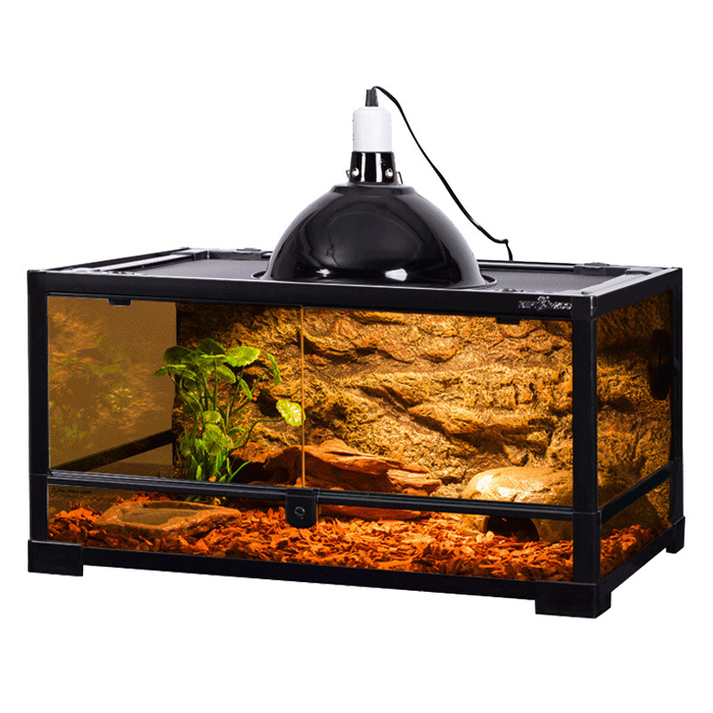 reptizoo爬宠饲养箱鬃狮蜥蜴