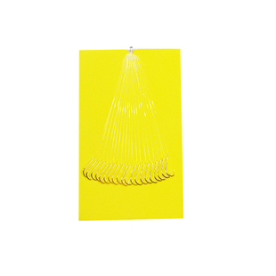 单钩金袖超短子线手绑溪流钓防缠绕鱼钩钓鳑鲏石斑鱼溪哥马口白条