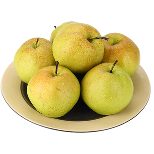 【山区果园】山西隰县玉露香梨新鲜水果梨子旗舰店10斤整箱礼盒装