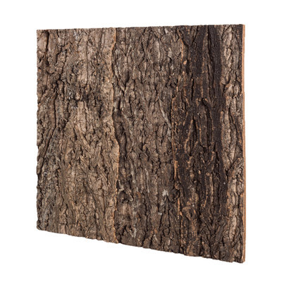 爬虫造景背景板爬宠饲养箱专用