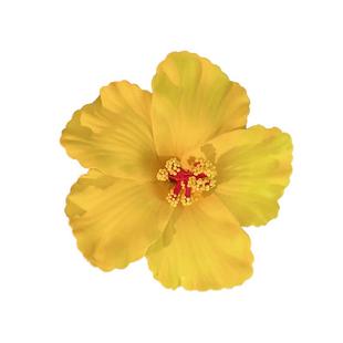 扶桑花发夹刘海夹侧边夹女海边花朵夹子黄色发饰拍照黄花头花头饰