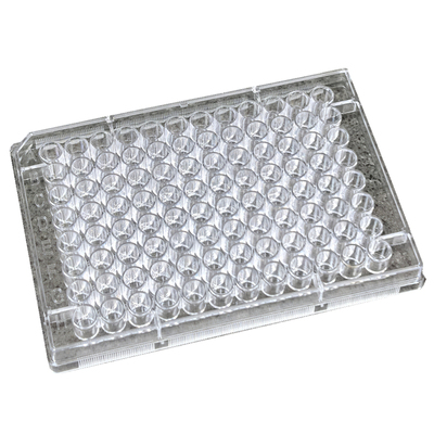 细菌培养板平底圆底5个以上包邮