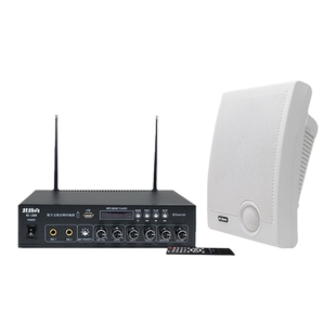 无线壁挂音箱喇叭无线广播蓝牙音响家用餐厅店铺背景音乐系统套装