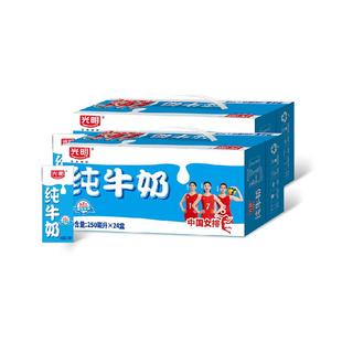 光明纯奶250mL*24盒*2箱苗条装整箱早餐纯牛奶
