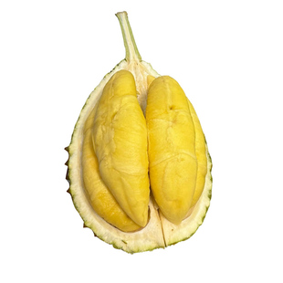 马来西亚文记空运鲜果猫山王d197高山老树榴莲进口整果带壳榴莲