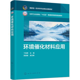 环境催化材料应用 丁佳锋 金属基碳基催化材料 光催化电催化 重金属钝化 新污染物降解 密度泛函理论 环境类材料类 本科研究生教材