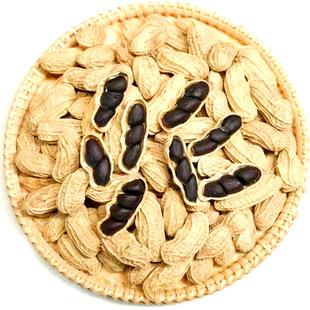 云南有机方式种植黑皮花生紫花带壳生自然晒干无添加老品种包顺丰