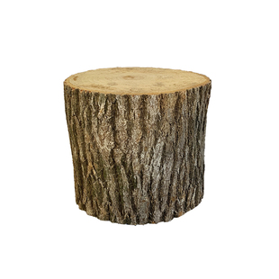 木墩 带树皮田园tian然树桩花架实木根雕香樟木原木摆件圆形包邮