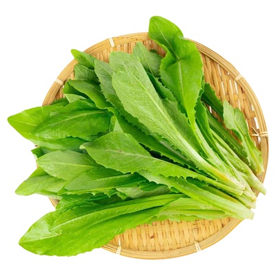 沂蒙荟馨园新鲜蔬菜优选油麦菜