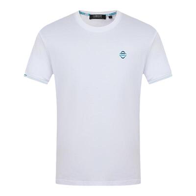 澳林丹顿男装纯色简约T恤男