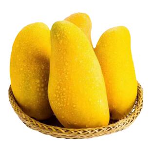 顺丰 海南当季三亚水仙芒金煌 大果特金黄芒新鲜 青芒青皮8斤礼盒