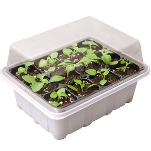 育苗神器穴盘营养杯塑料钵长方形托盘芽菜白菜扦插种植盒箱专用盆