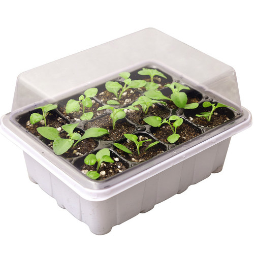 育苗神器穴盘营养杯塑料钵长方形托盘芽菜白菜扦插种植盒箱专用盆