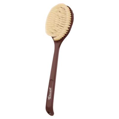 椰丝鬃毛沐浴刷加长猪鬃毛干刷